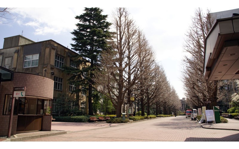 青山學院大學
