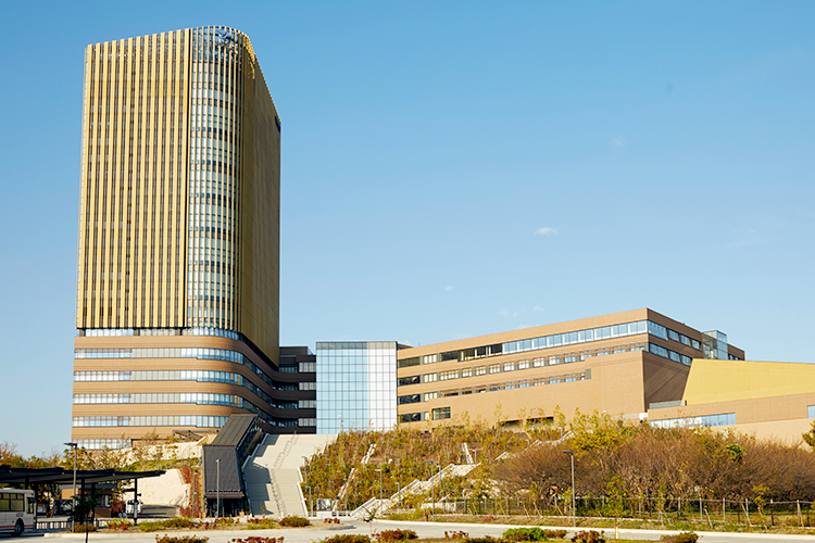 帝京大學（大學院）