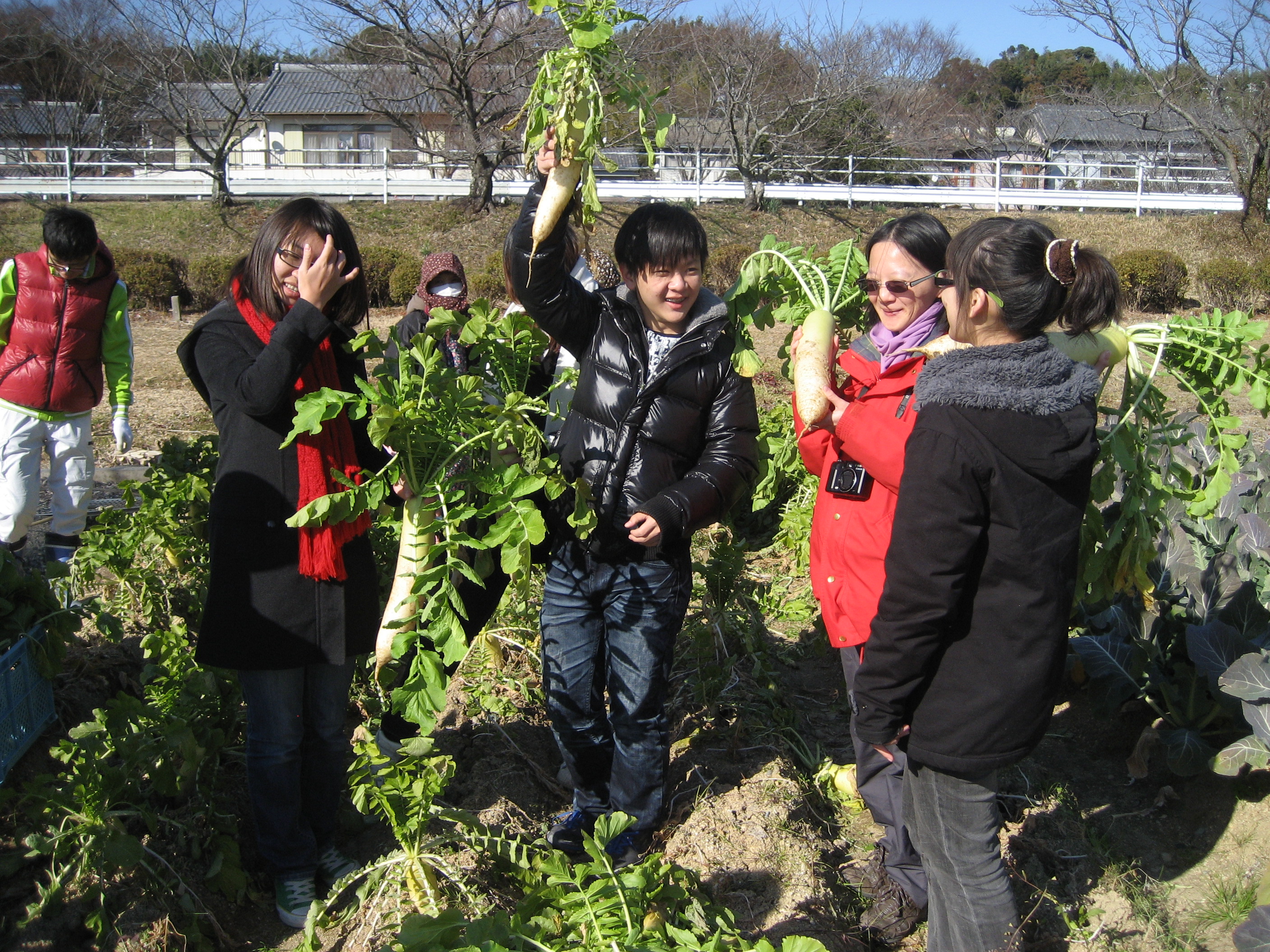 3週短期遊學in日本高中校園~歡迎國中生畢業生以上報名