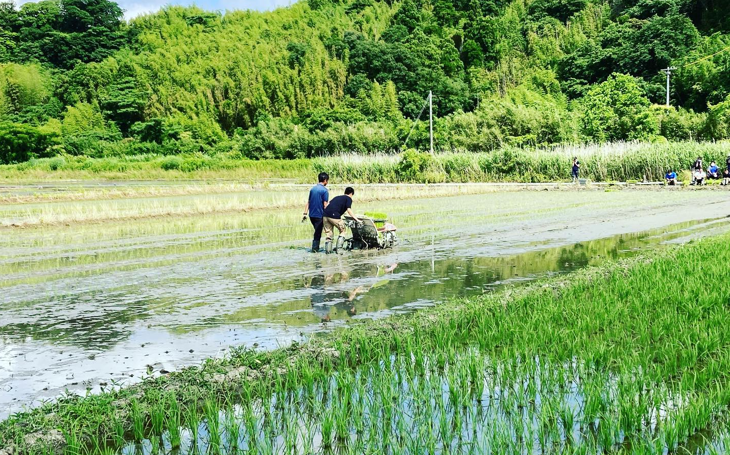 OISCA開發教育專門學校 國際協力科