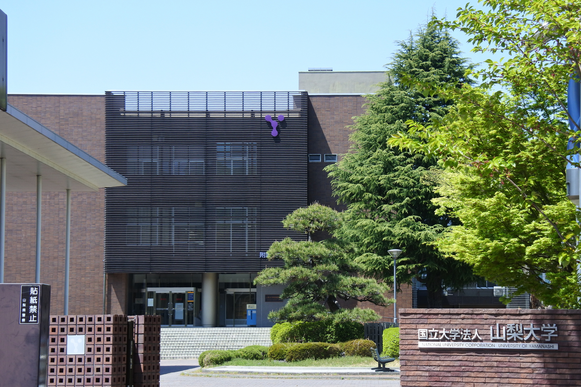 山梨大學