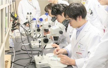 山梨大學