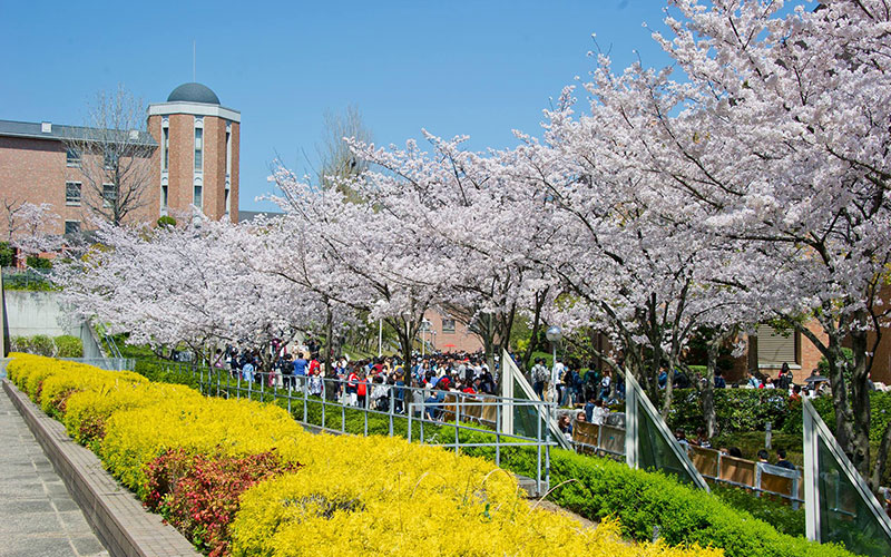 關西大學