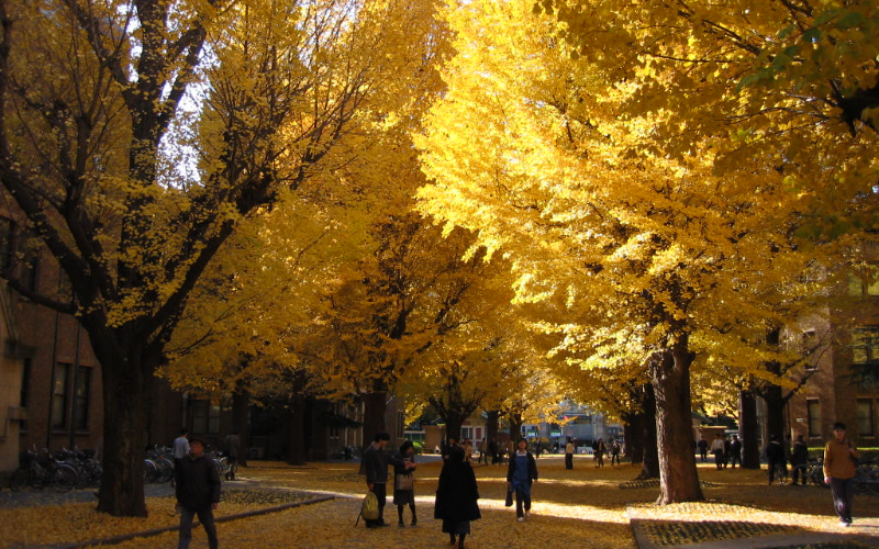 東京大學