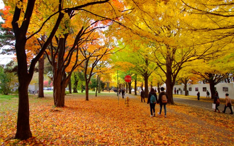 北海道大學（大學院）