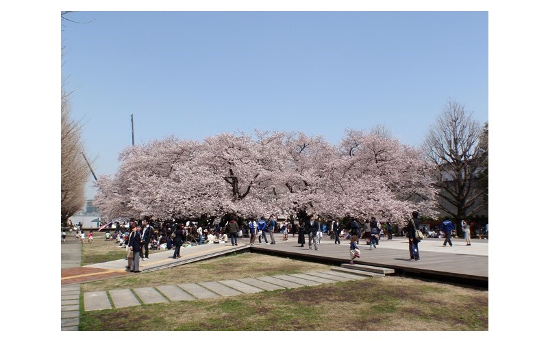 東京工業大學