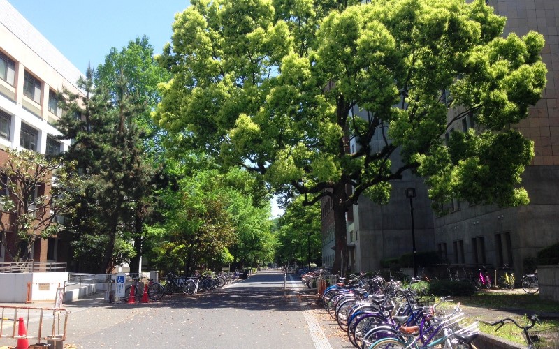 京都大學（大學院）