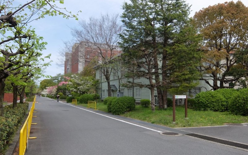 京都大學