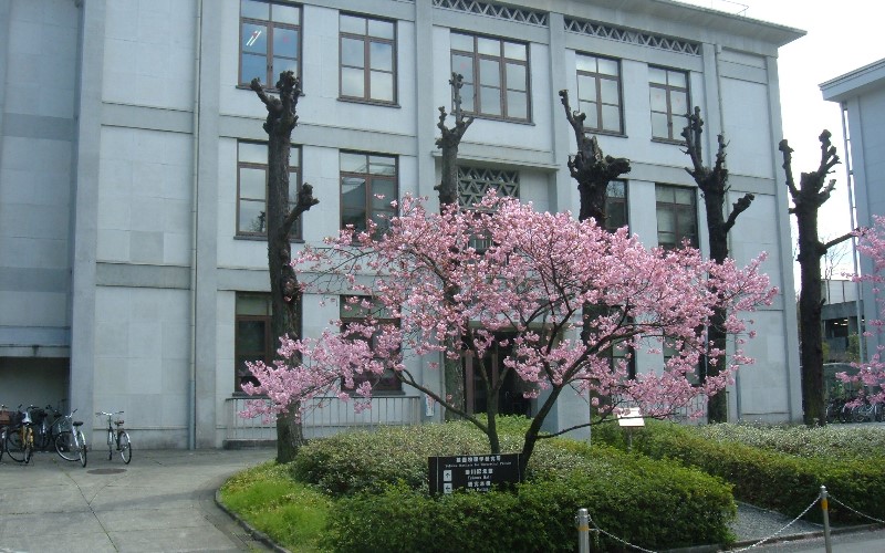 京都大學（大學院）