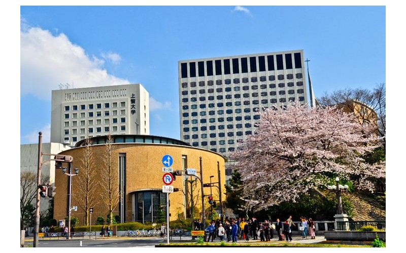 上智大學（大學院）