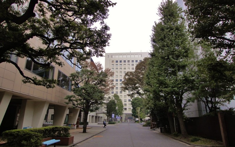 上智大學（大學院）