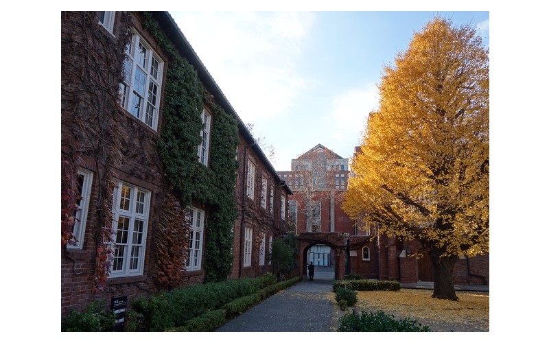 立教大學（大學院）