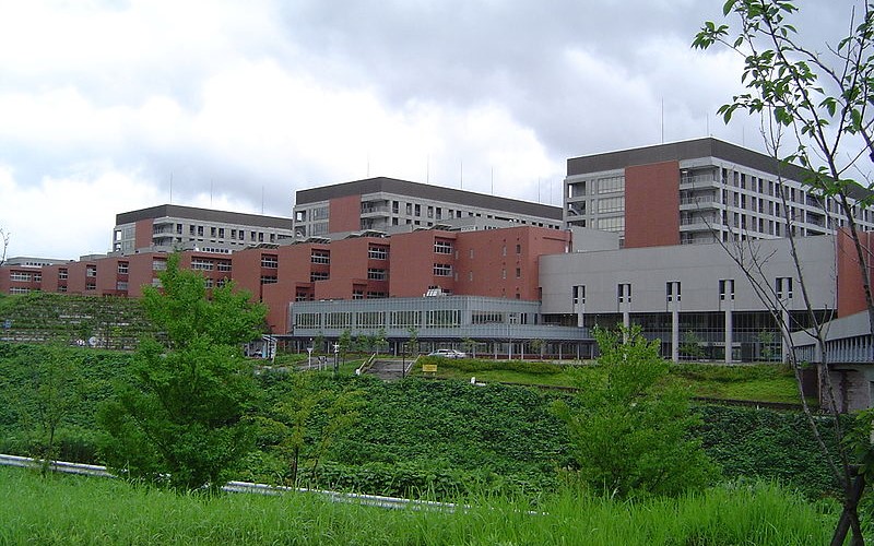 金澤大學