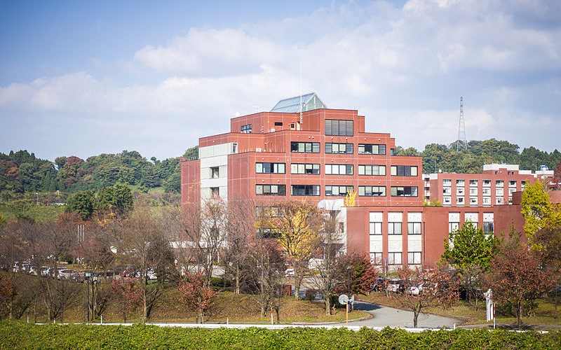 金澤大學