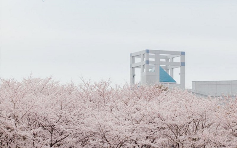 女子美術大學（大學院）