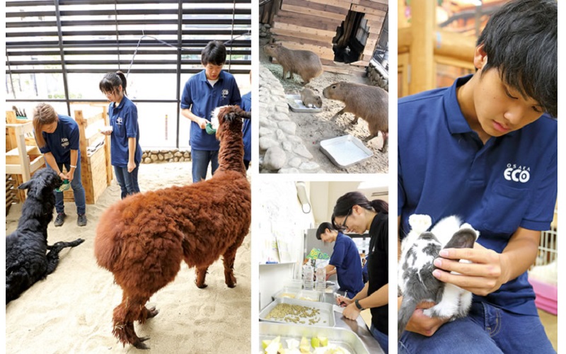 大阪ECO動物海洋專門學校