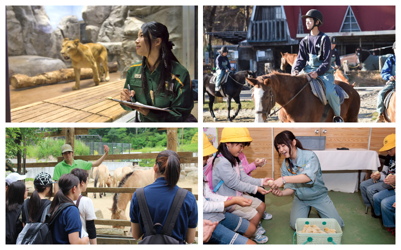 東京ECO動物海洋專門學校