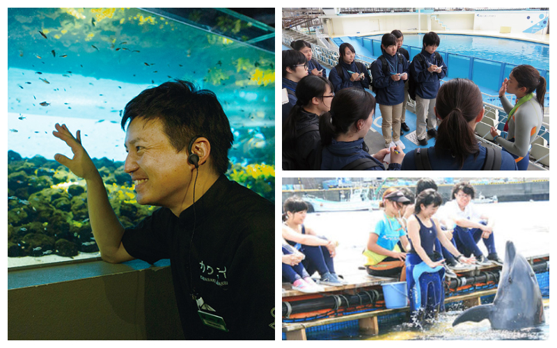 東京ECO動物海洋專門學校
