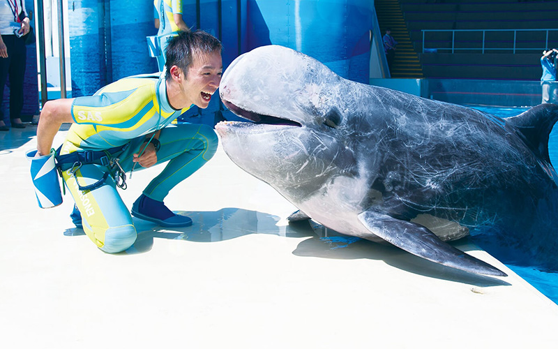 東京ECO動物海洋專門學校