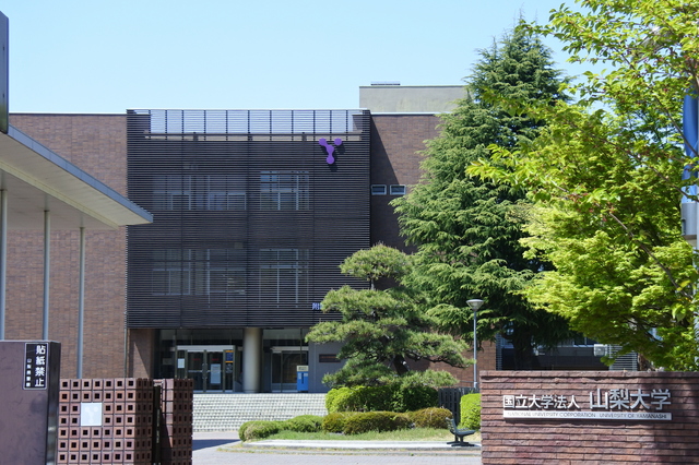 山梨大學